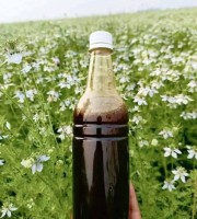 কালোজিরা মধু